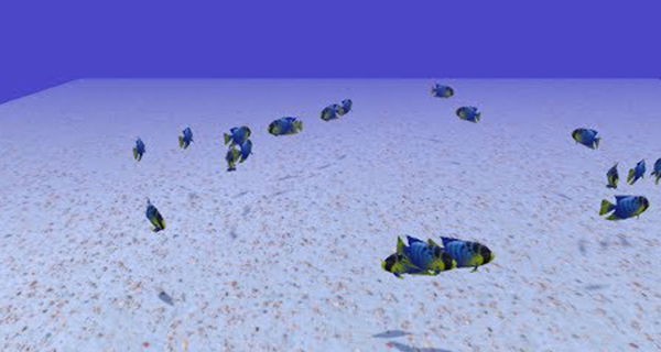 Flocking Fish in a Box with Speed Adjustment Slider